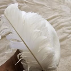 Off White Church Hat With Feather Detail 