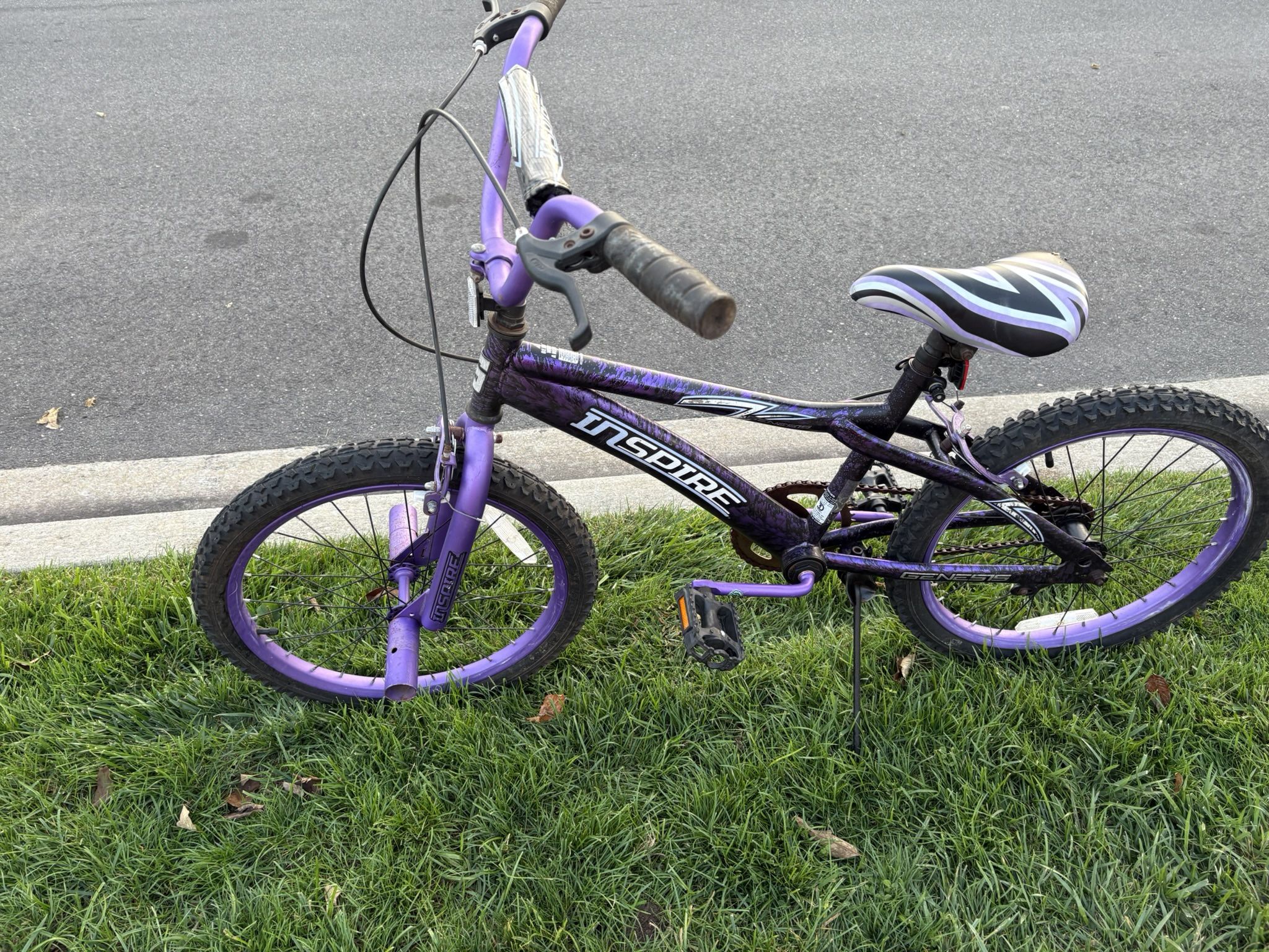 Kids Purple Bike With Pegs