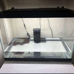 Aquarium 