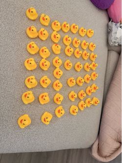 Mini ducks