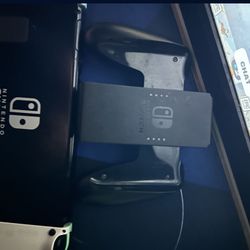 Nintendo Switch Animal Crossing Horizons Joy-Con L/R JP Limited Color 