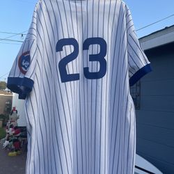 Retro Ryne Sandberg #23 Chicago Cubs Pinstripe Home Jersey 