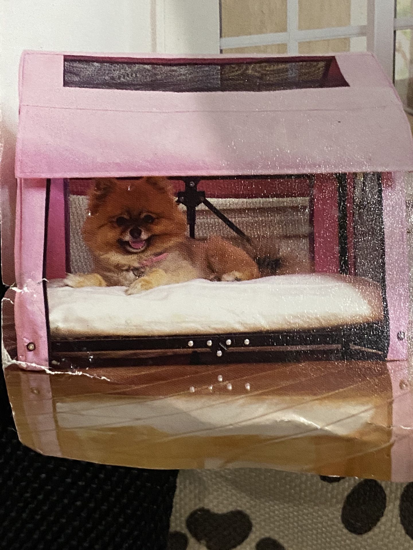 Foldable dog house