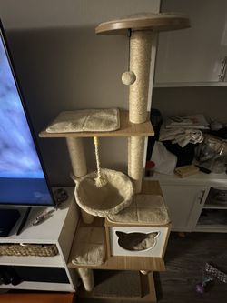 Cat Tree