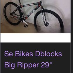 Dblock Se Bike