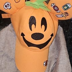 Disney Collector Hat Disneyland