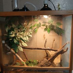 Natural Wood Reptile Enclosure 