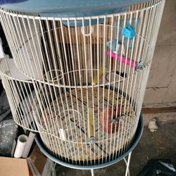 Bird Cages