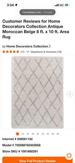 Antique Moroccan Beige 8 ft. x 10 ft. Area Rug