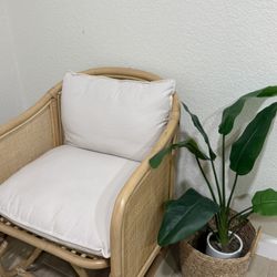 Light Wood Chair 