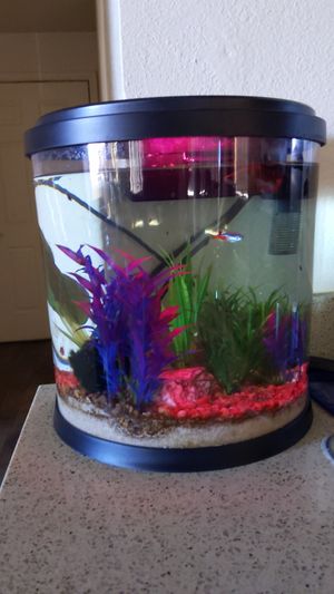Photo Fish tank