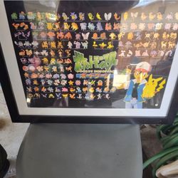 Pokemon Master Trainer 