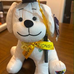 Graduation Gift 2025