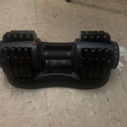 Adjustable Dumbbells 