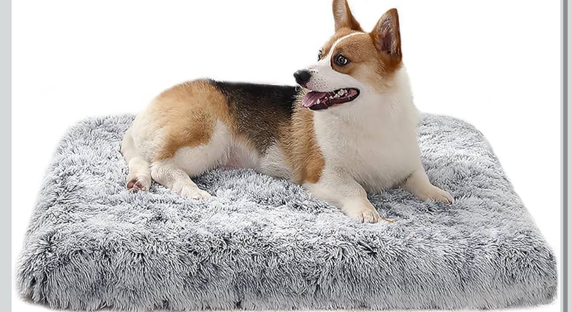 Mewtwo Orthopedic Dog Bed, with Memory Foam Layer,Ultra Plush Comfy, Beds for Medium Pet mat Sofa, Removable Washable Cover,35"x28"x4",Dark Gray