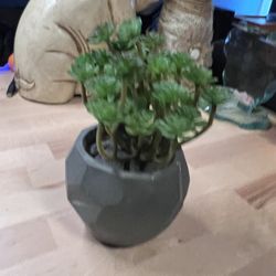 🌿 Faux Succulent Arrangement in Geometric Gray Pot – Modern Home Décor