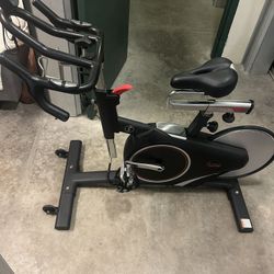 Sunny Exercise Bike