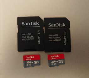 SanDisk 256gb micro SD card