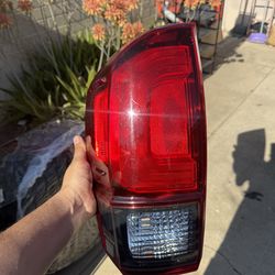 2019 Tacoma OEM Tail Light