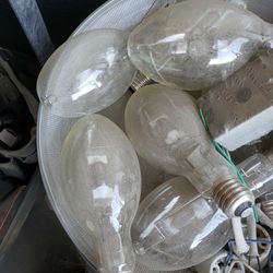 Metal Halide Lamps