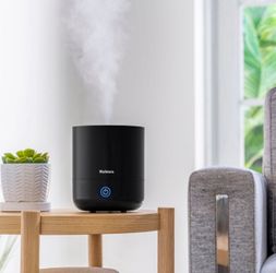 Holmes Ultrasonic Cool Mist Humidifier