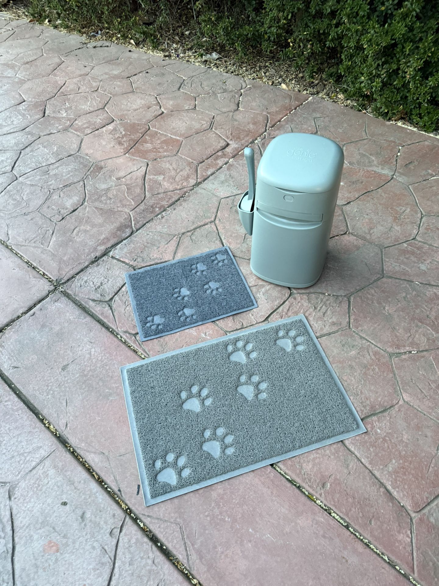 Kitten stuff - 5 Photos - different prices