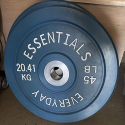 45lb x 2 Weights - Never used