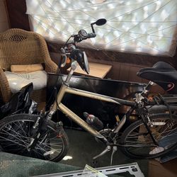 Gold n black navigator 300 made by trex