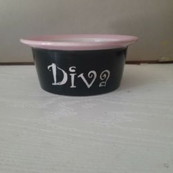 Pet Bowl