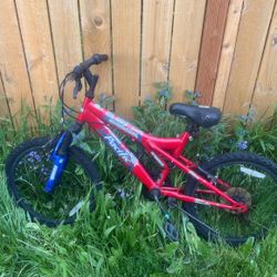 Pacific Evolution Mountain Bike 