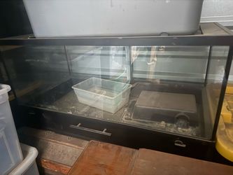 Reptile tank