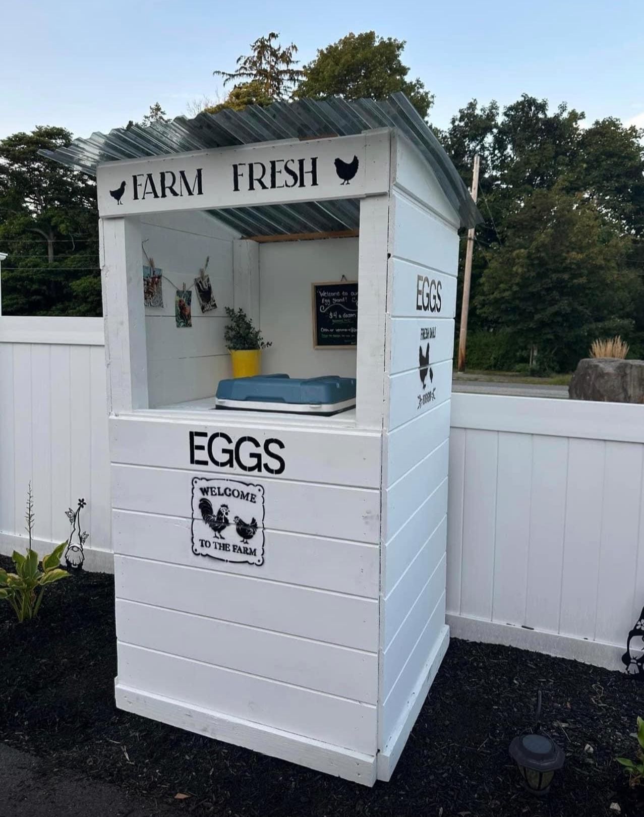 Farm Fresh Chicken And Duck Eggs For Sale