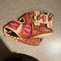 Rawlings GG Elite Baseball Glove