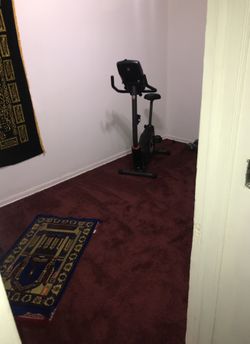 New Carpet