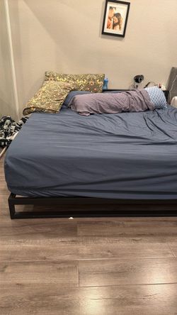 King black mental frame