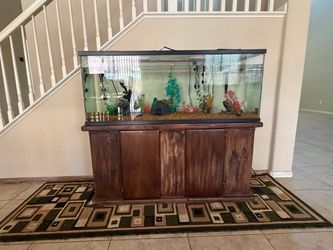 Fish tank