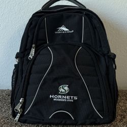 High Sierra Backpack (20-26L)