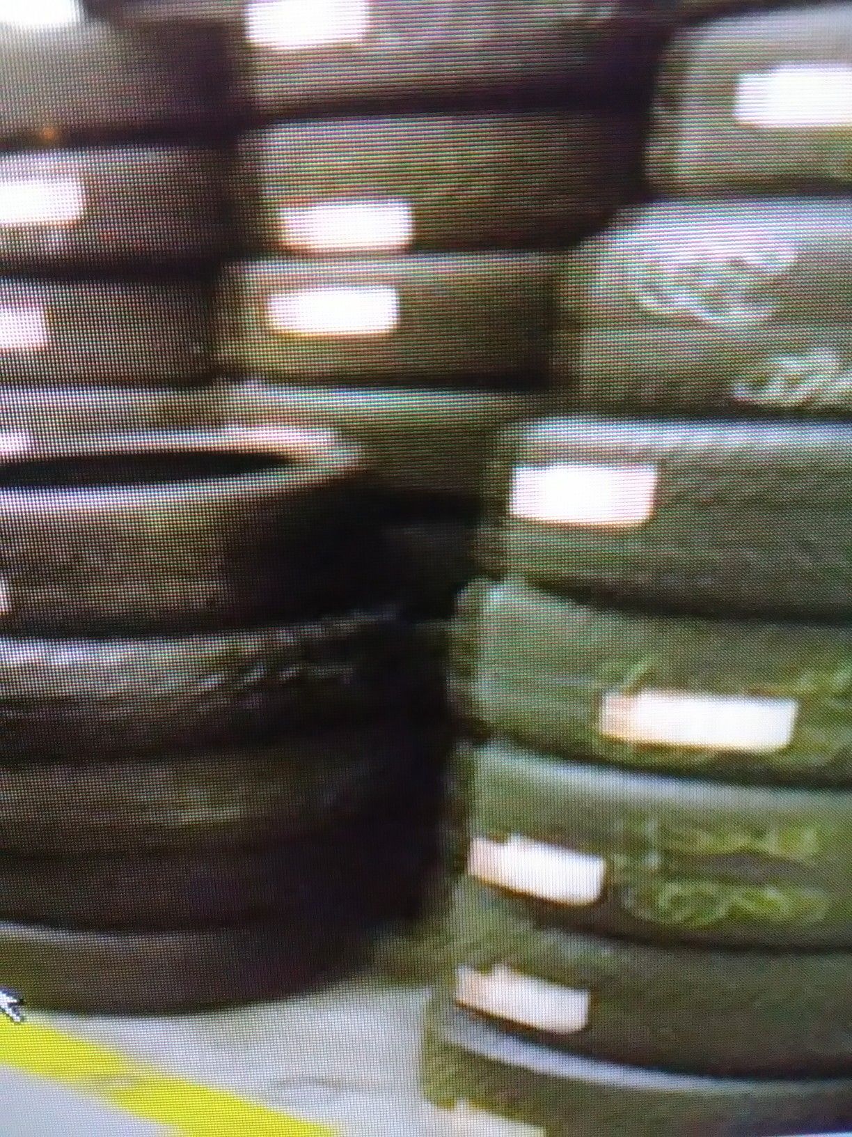 Cars trucks SUVs Vans and trailer tires
