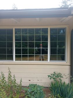 Vinyl dbl paned windows