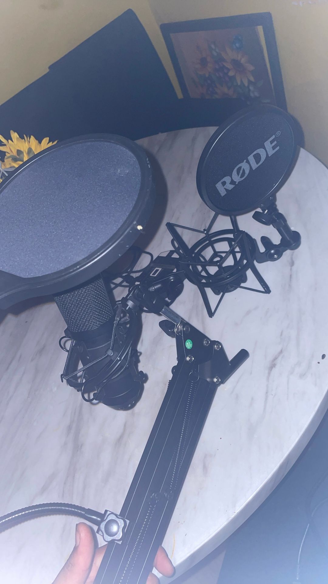 Studio Mic Perfect For Beginners 