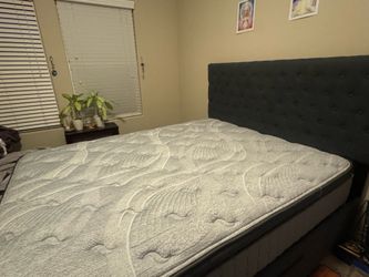 BedSet Headboard & Storage Footboard &  Plush Mattress