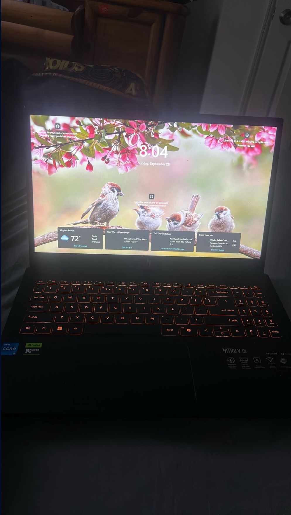 Nitro V 15 Gaming Laptop