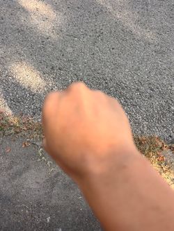 free fades🥊