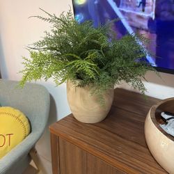Fake Fern Plant 