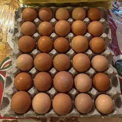 Farm Eggs