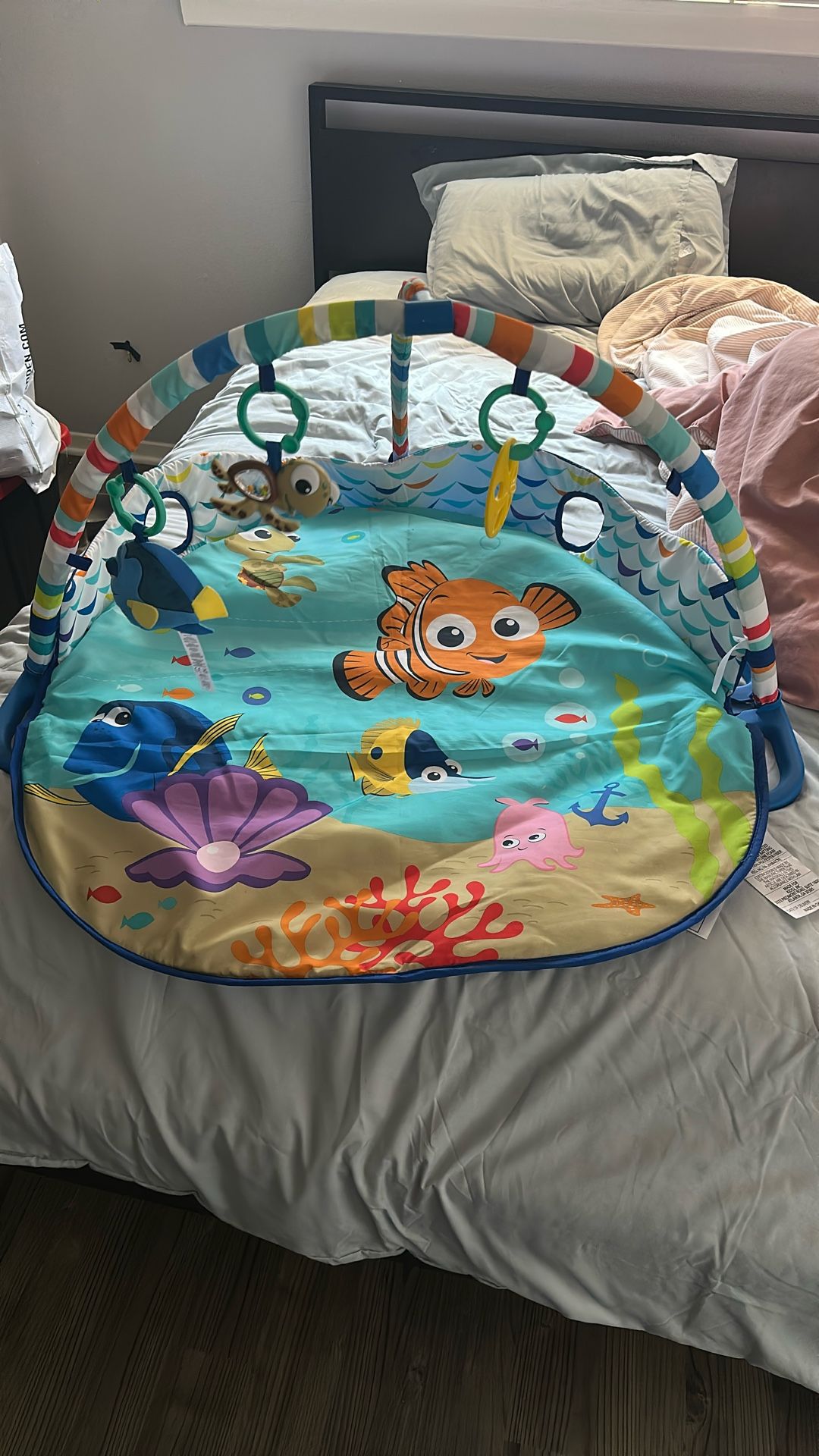 Finding Nemo