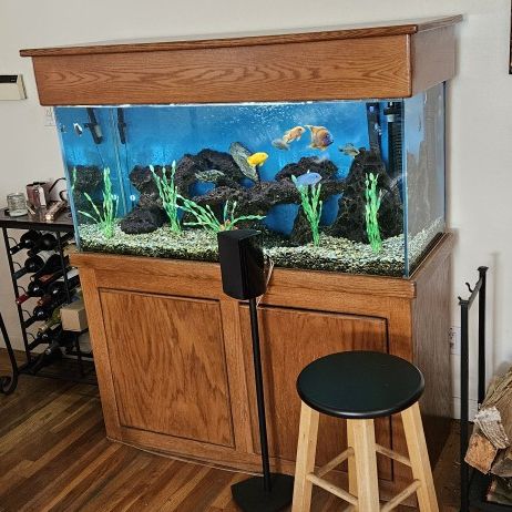 70 Gallon  Fish Tank Full Setup - Stand, Hood, Programmable Lights, Fluval Filter, Media, Gravel, The Whole Package.