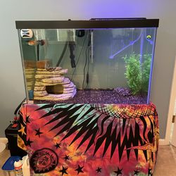60 Tank And Stand And Supplies 