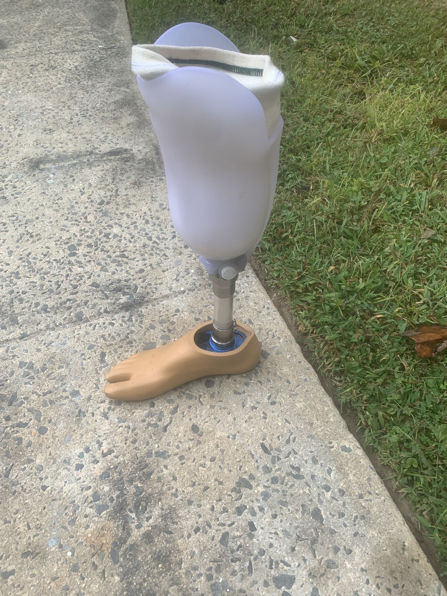 Prosthetic Leg