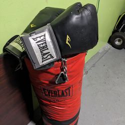 Everlast Punching bag + Boxing gloves